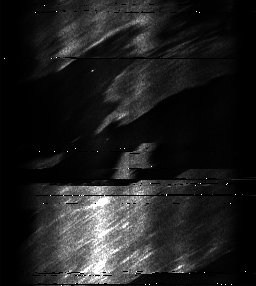 ascat_grayscale_ch6.png